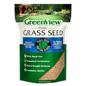 New Lawn in Grass Seed