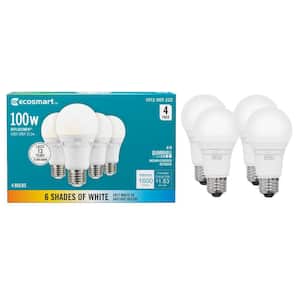 EcoSmart in LED Light Bulbs