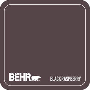 Home Decorators Collection HDC-FL14-9 Black Raspberry Paint