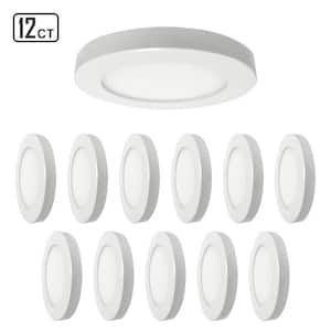 Flush Mount Ceiling Lights