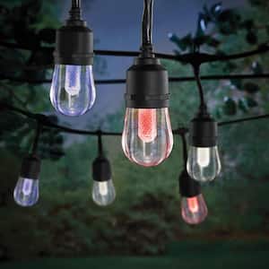 Space Between Bulbs (in.): 24