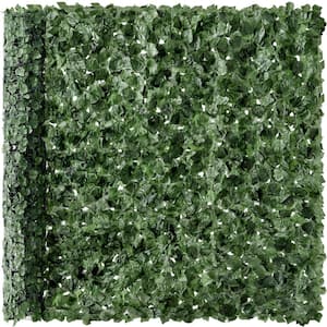 Ivy