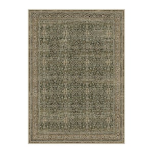 Approximate Rug Size (ft.): 9 X 12 in Area Rugs