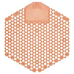 Urinal Screen