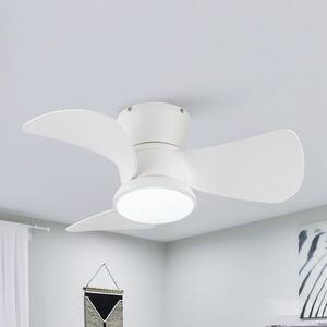 Ceiling Fans With Lights