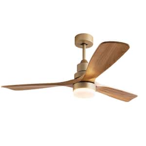 Ceiling Fans