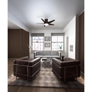 Ceiling Fans With Lights