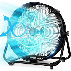 Fans