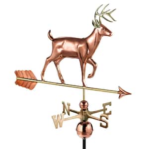 Deer