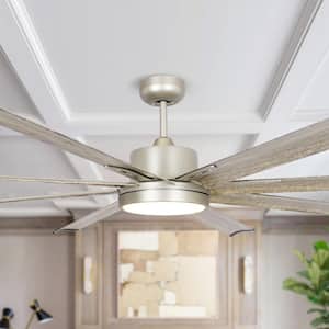 Ceiling Fans