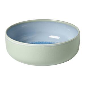 Blue in Dinner Plates