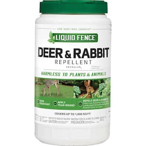 Deer in Animal & Rodent Control