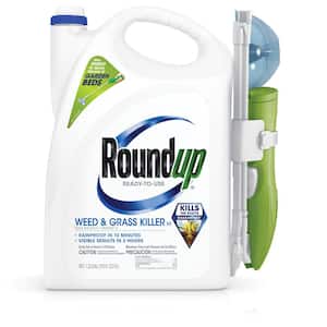 Roundup in Weed & Grass Killer