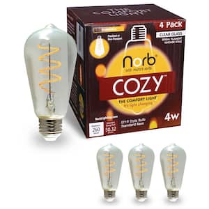 Decorative Light Bulbs