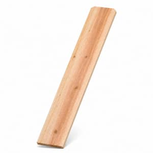 Cedar