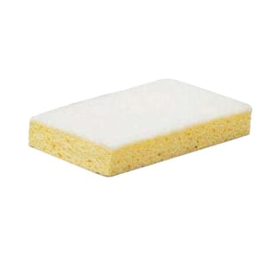 Sponges & Scouring Pads