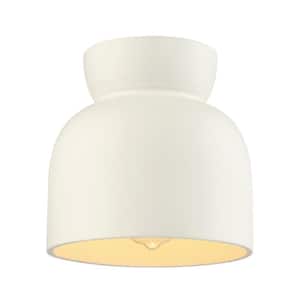 Flush Mount Ceiling Lights