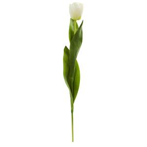 Tulip