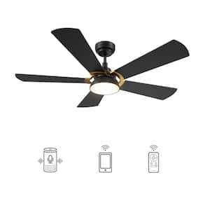 Black in Ceiling Fans
