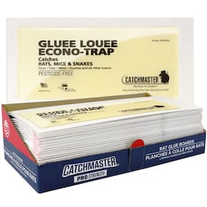 Snake in Pest Control