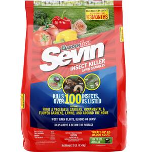 Lawn