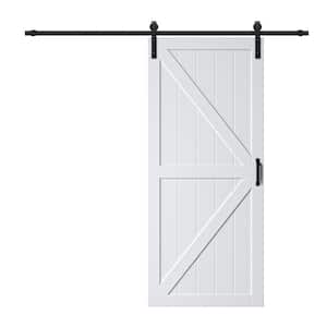 Modern in Barn Doors