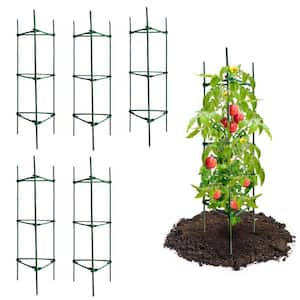 Plant Cage