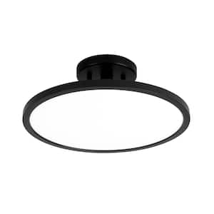 Flush Mount Ceiling Lights