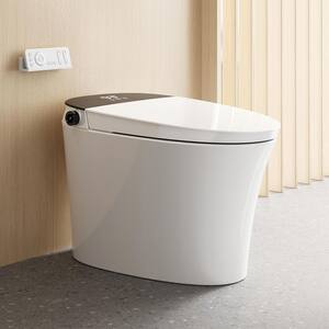 Electric Plug-In