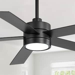 Black in Ceiling Fans With Lights