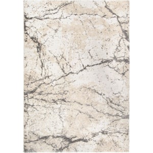 Stain Resistant in Area Rugs