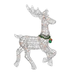 Reindeer