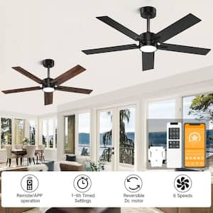 Ceiling Fans