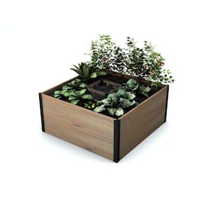 Cedar