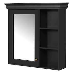 Medicine Cabinets with Mirrors