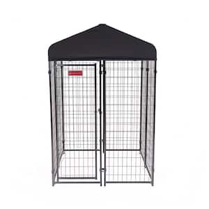 Medium in Dog Kennels