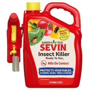 Bee in Pest Control