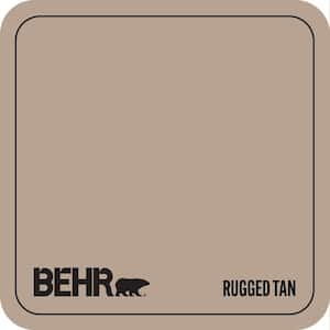 N190-4 Rugged Tan Paint