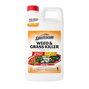 Spectracide in Weed & Grass Killer