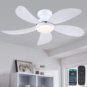 Flush Mount