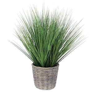 Artificial Plants