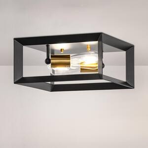 Flush Mount Lighting