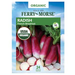 Radish