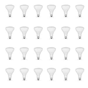 Light Bulb Shape Code: BR30
