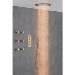 Dual Shower Heads