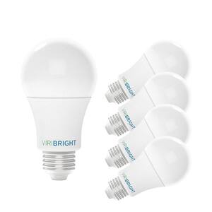 LED Light Bulbs