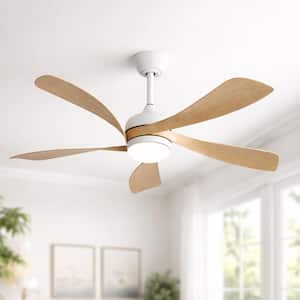 Downrod Mount in Ceiling Fans With Lights