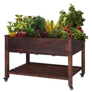 Raised Beds