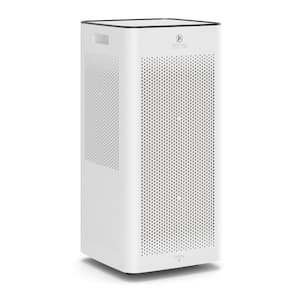 Mold in Air Purifiers