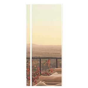 Common Door Size (WxH) in.: 38 x 83